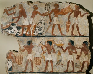 Butchers carving an ox, food carriers