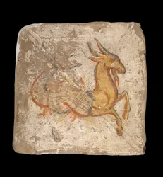 Capricorn 244-245 CE