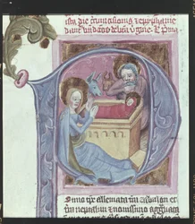 Detail: initial: The Birth of Christ