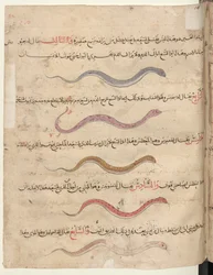 Snakes