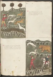 Full Page: Text and Miniatures: "Carne le Lepore" - Hare and Fox Hunt; "Carne de Orso" - Bear Hunt