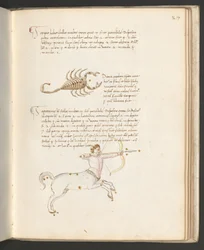 Full page: text with signs of the Zodiac: 