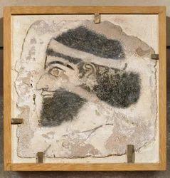 Male Head