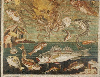Marine Fauna, Fish, Casa del Fauno, Pompeii