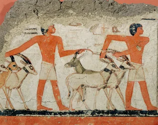Mural from the tomb of Pharaoh Metchetchi