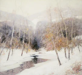 Snowfall