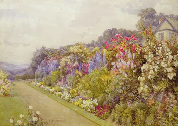 Delphinium Border, at 