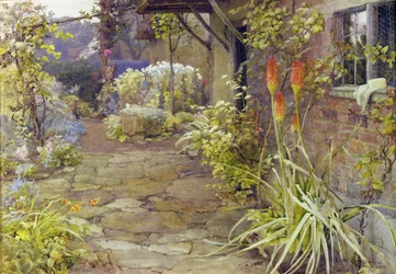 Torch Lilies