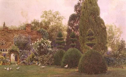 Chickens in a Garden