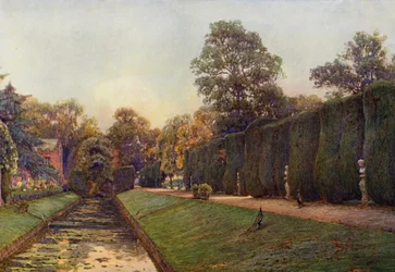 The Great Hedge at Campsea Ashe, Suffolk
