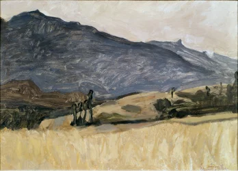 Valais Landscape