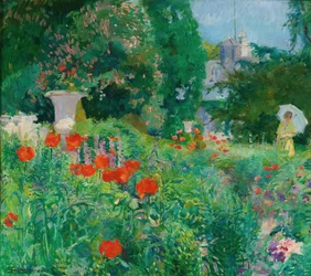 Elegant in a Field of Poppies
