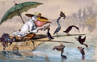 Cormorants presenting fish to a pelican in a punt under an umbrella