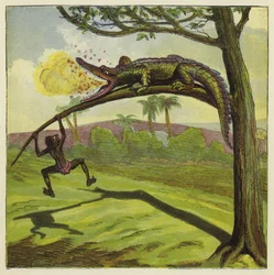 Crocodile