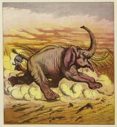 Jim Bold and an Enraged Elephant