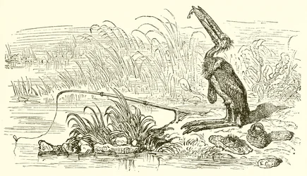 The Angler and the Little Fish
