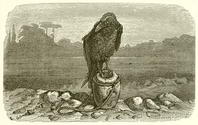 The Crow and the Pitcher