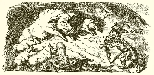 The Eagle, the Cat, and the Sow