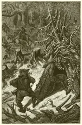 The Fox and the Countryman