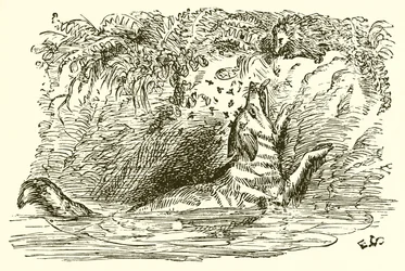 The Fox and the Hedgehog