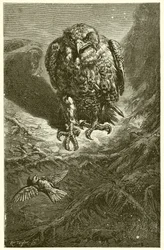The Hawk and the Nightingale