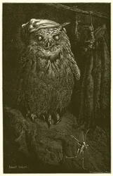 The Owl and the Grasshopper