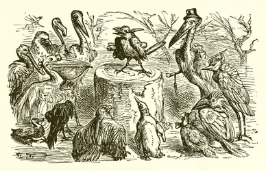 The Peacock and the Magpie