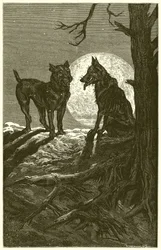 The Wolf and the Mastiff