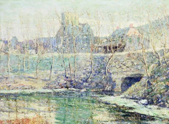 Misty Day in March