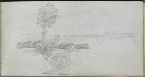 Landscape Study