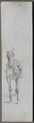 Sketchbook, Page 56 & 57: Study of a Horse
