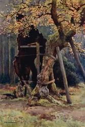 Robin Hood