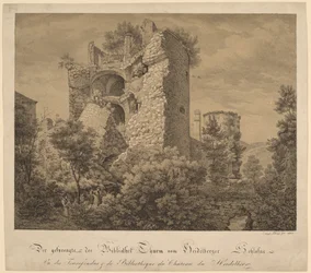 The Exploded Tower and the Library of Heidelberg Castle