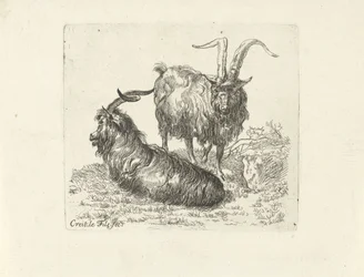 Two Rams in a Meadow