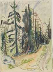 Mountain Firs and Path