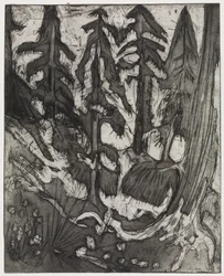 Mountain Forest
