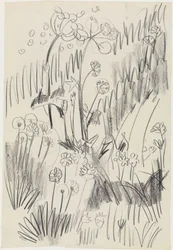 Flower Meadow