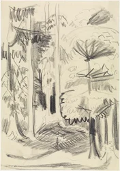 Mixed Forest