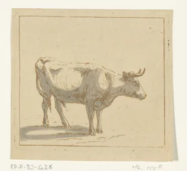 Bull Standing, Facing Right