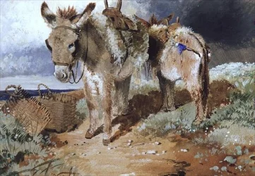 Donkeys, 1855