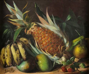 Still Life