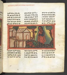 Scene from the life of the Virgin Mary, from 