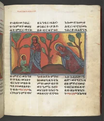 Scene from the life of the Virgin Mary, from 
