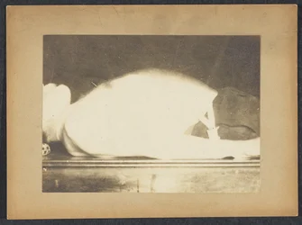 Marey in a Study of Respiration