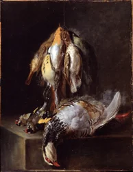 Dead Birds