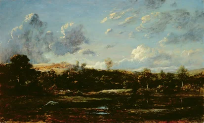 In the Landes