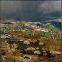 Rain Shower in the Norwegian High Moor