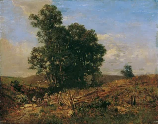 Group of Trees by the Field Path