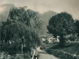 Road to Tyrol Castle, Merano, South Tyrol, Italy, 1927