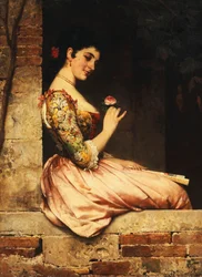 The Pink Rose